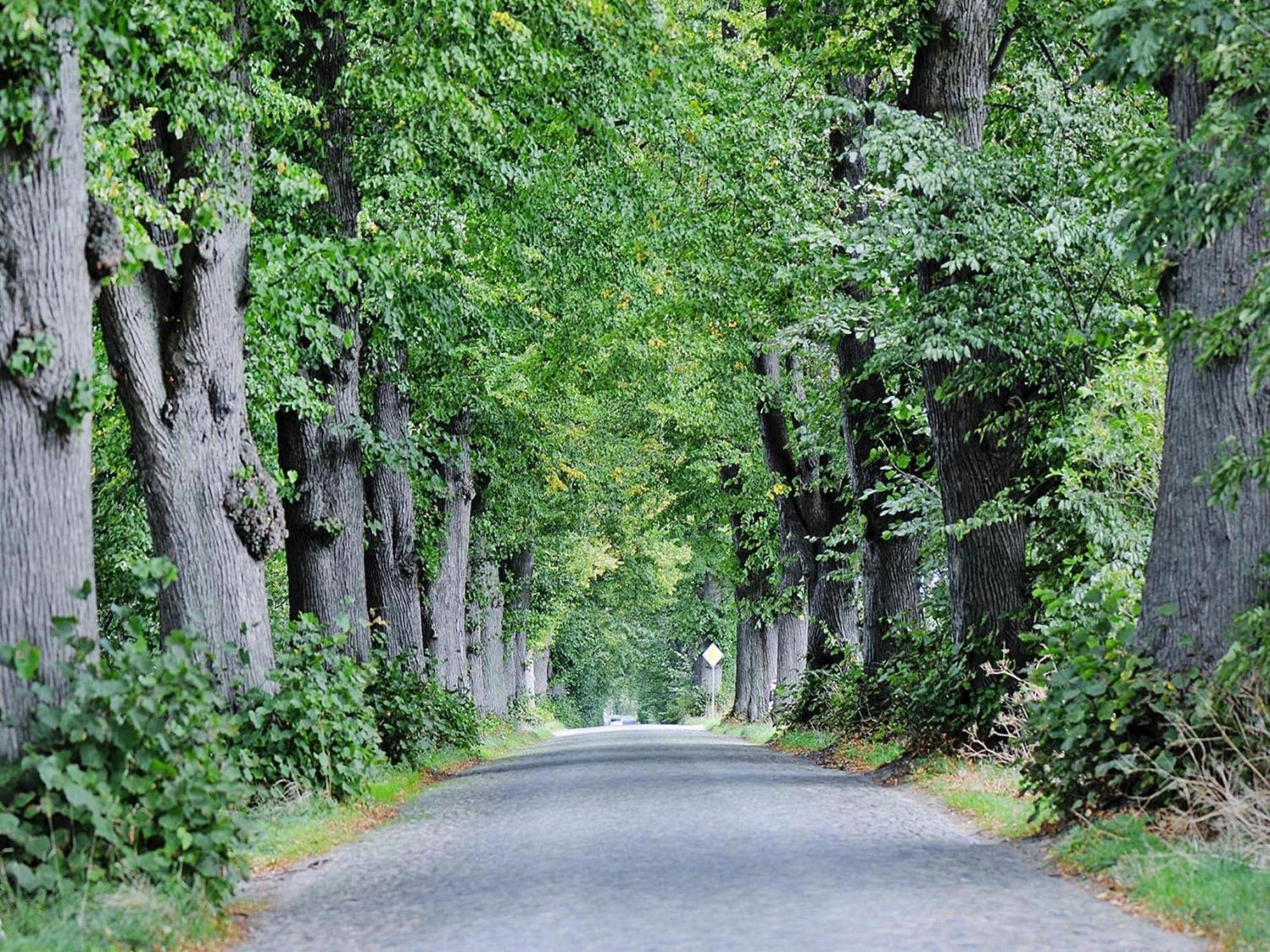 Gutshaus Zicker In Garz Garz (Rugen) Exterior foto